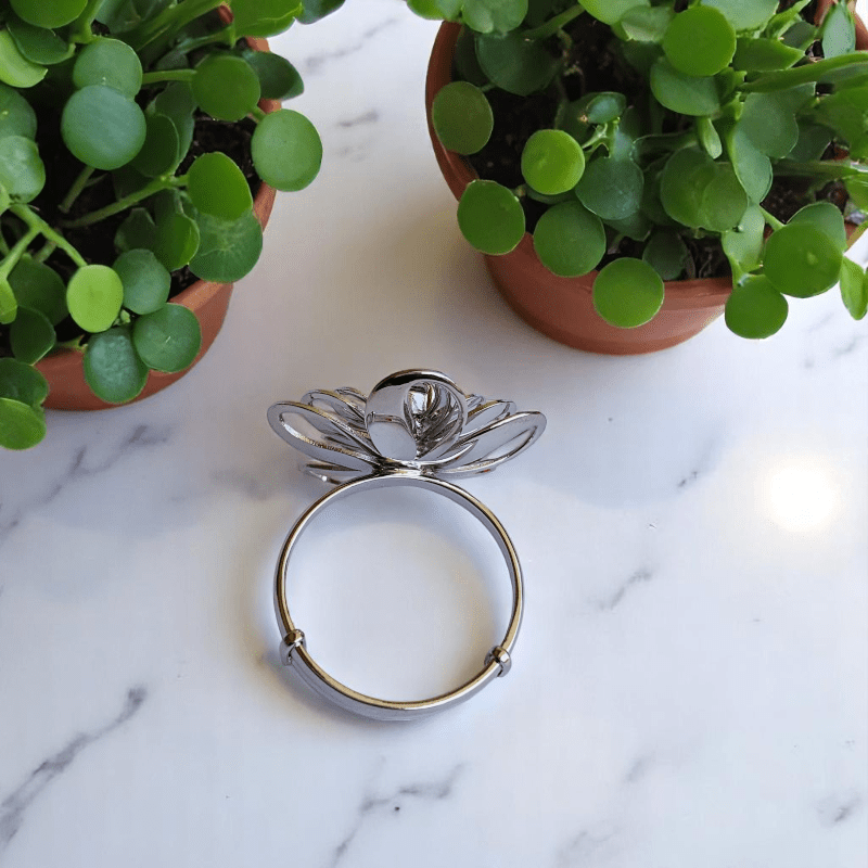 Eternal Spring Ring | 925 Silver & Zircon - For Women | Includes: Ring