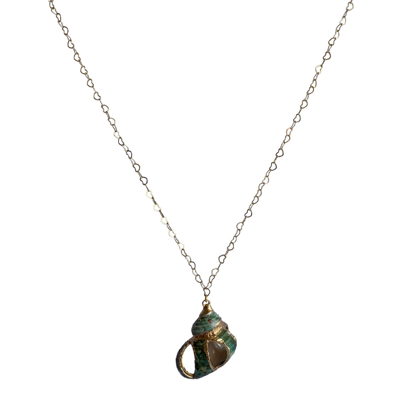 Florida Rock Shell Necklace | Natural Florida Rock Shell- For Women | Includes: Necklace