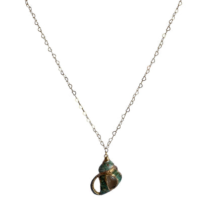 Florida Rock Shell Necklace | Natural Florida Rock Shell- For Women | Includes: Necklace