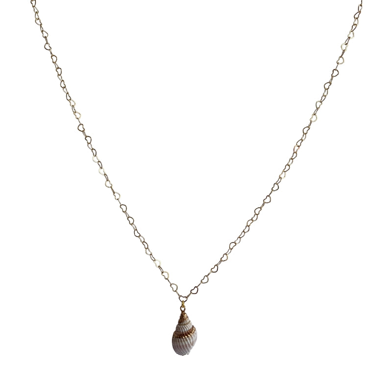 Nutmeg Seashell Necklace | Natural Nutmeg Seashell- For Women | Includes: Necklace