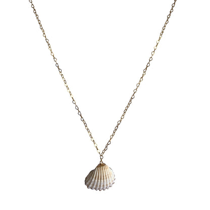 Calico Clam Necklace | Natural Calico Clam- For Women | Includes: Necklace