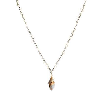 Whelk Shell Necklace | Common Whelk Shell- For Women | Includes: Necklace