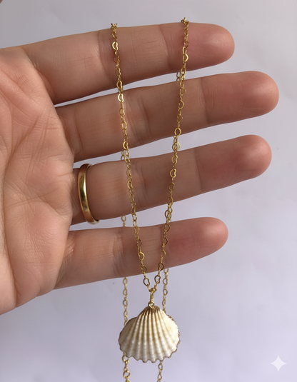 Calico Clam Necklace | Natural Calico Clam- For Women | Includes: Necklace
