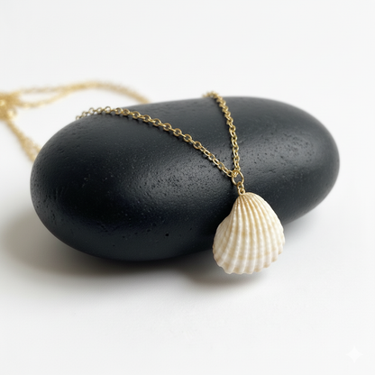 Calico Clam Necklace | Natural Calico Clam- For Women | Includes: Necklace