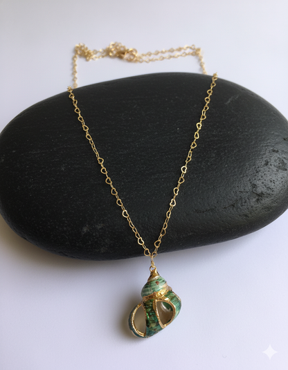 Florida Rock Shell Necklace | Natural Florida Rock Shell- For Women | Includes: Necklace