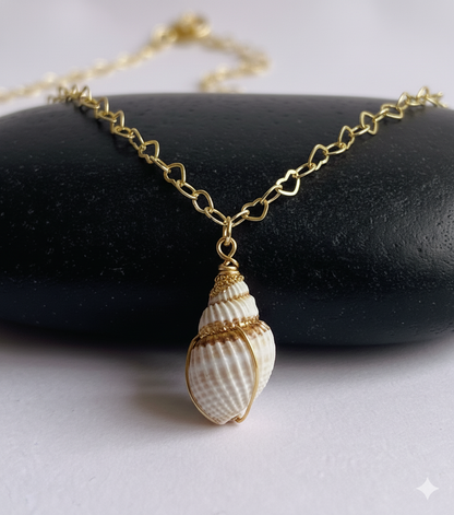 Nutmeg Seashell Necklace | Natural Nutmeg Seashell- For Women | Includes: Necklace