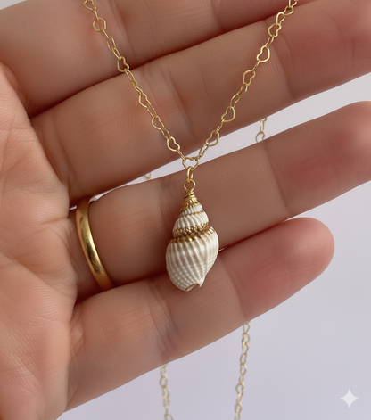 Nutmeg Seashell Necklace | Natural Nutmeg Seashell- For Women | Includes: Necklace