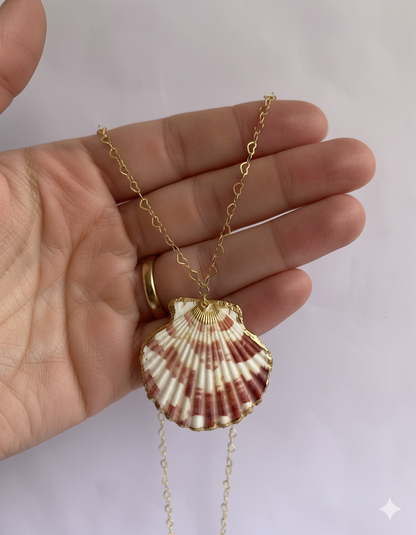 Calico scallop Necklace | Calico scallop Shell- For Women | Includes: Necklace