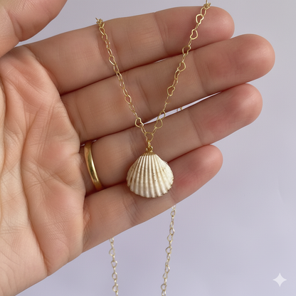 Cockle Shell Necklace | Natural Cockle Shell- For Women | Includes: Necklace