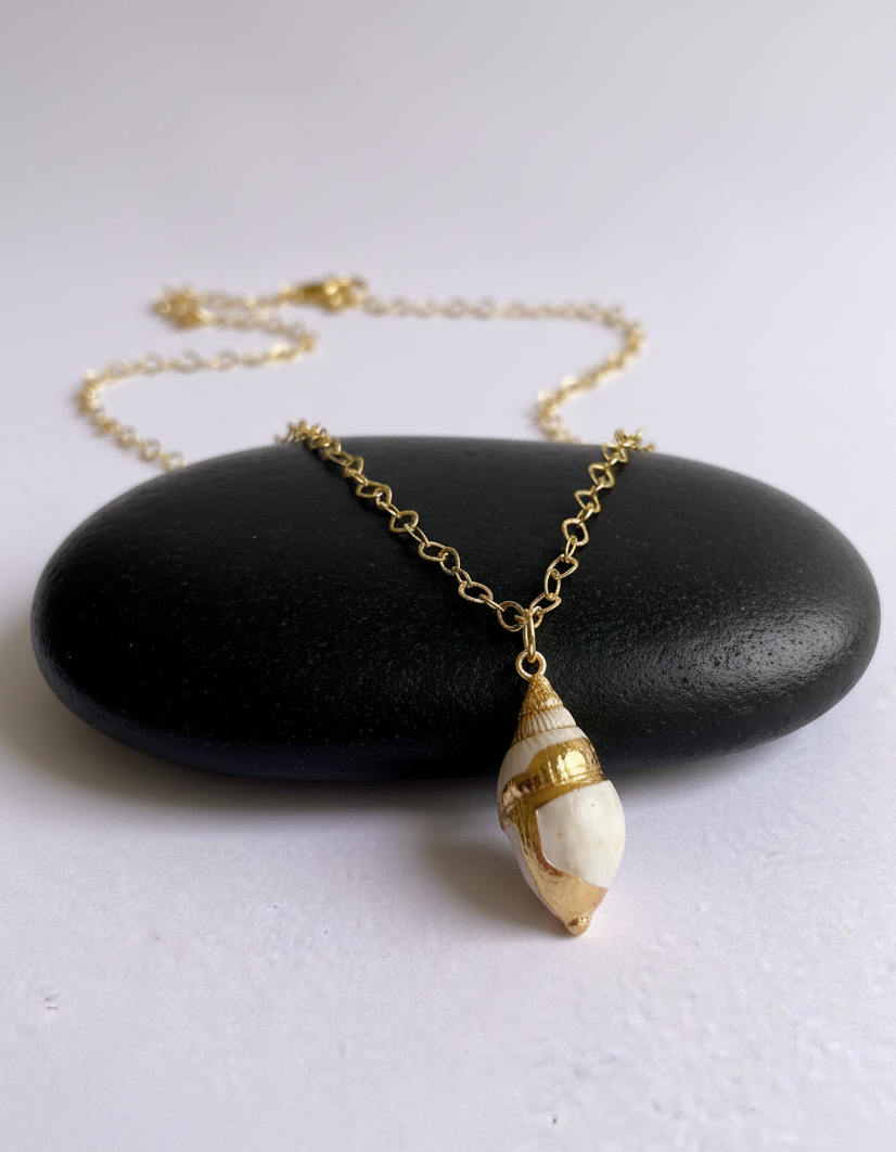 Whelk Shell Necklace | Common Whelk Shell- For Women | Includes: Necklace