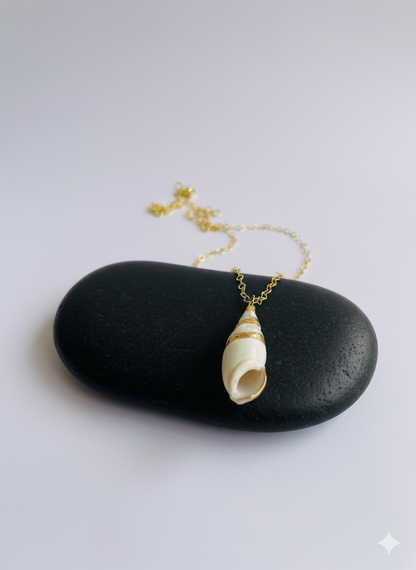 Olive Conch Necklace | Natural Conch - For Women | Includes: Necklace