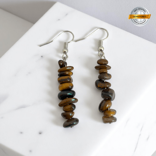 Wild Shine Earrings | Silver PVD Plated & Tiger Eye Chip - For Women | Includes: Earrings